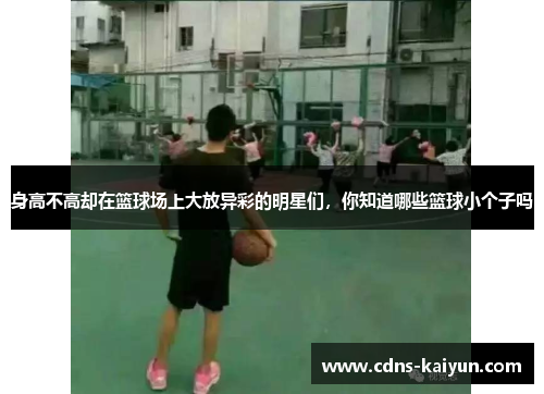 身高不高却在篮球场上大放异彩的明星们，你知道哪些篮球小个子吗